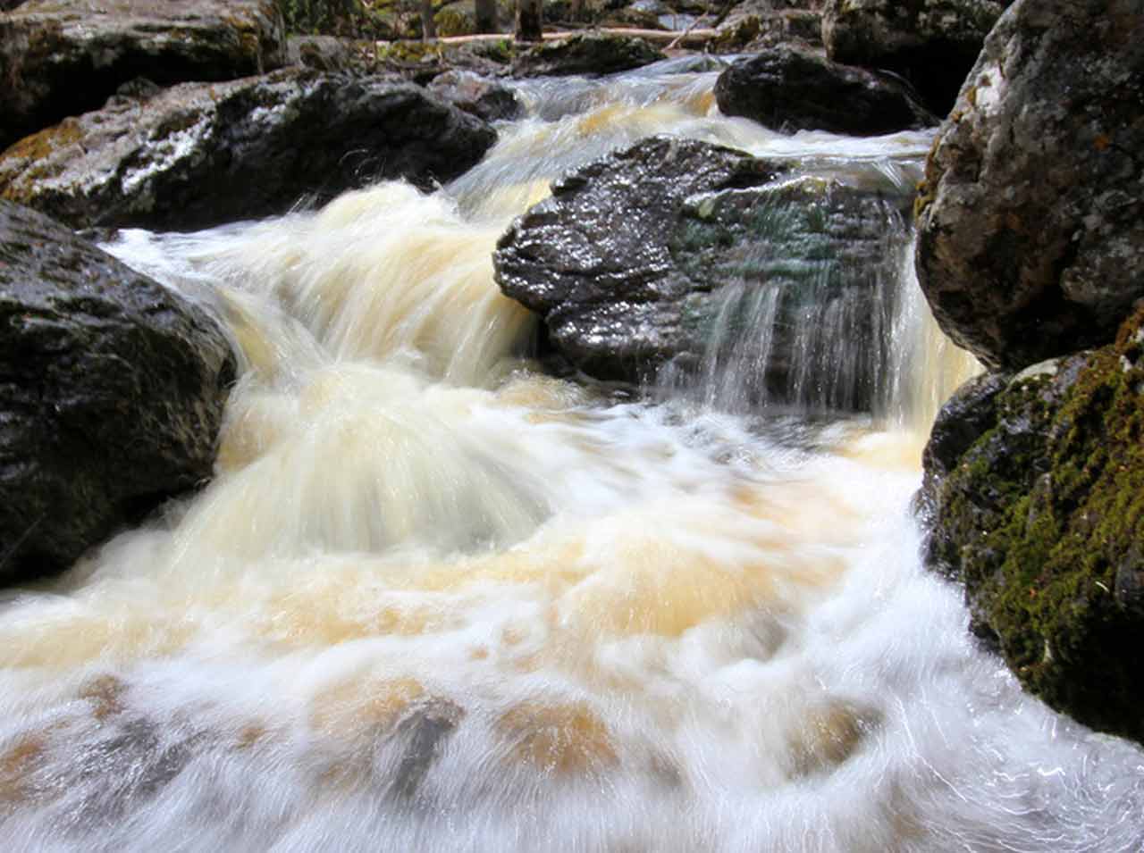 Image 31