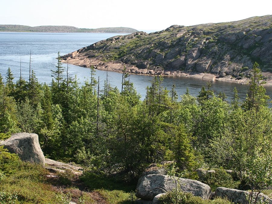 Image 13