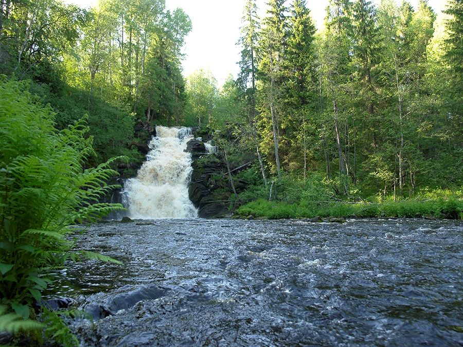 Image 21