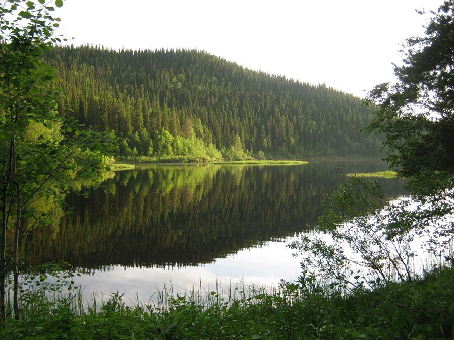 Image 9
